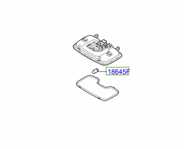 Kia Niro (2018-2022) Rear Interior Bulb